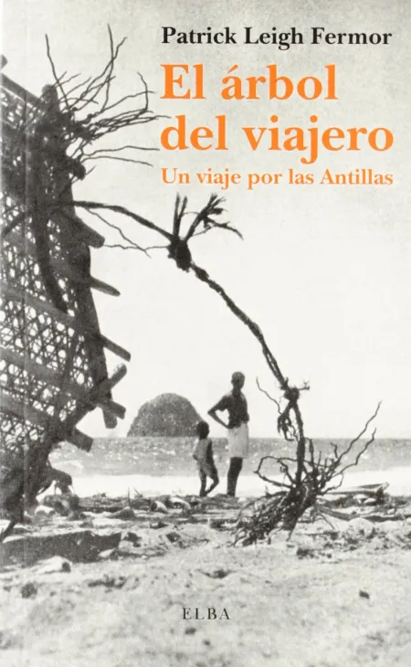 Arbol del Viajero