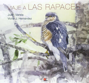 VIAJE RAPACES TUNDRA