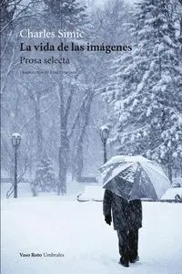 La Vida de las Imágenes