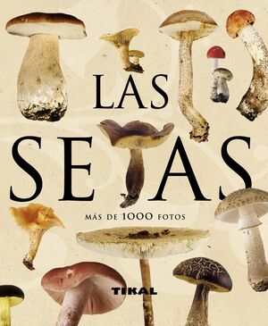 SETAS, LAS - ENC. UNIVERSAL - R: 257-008