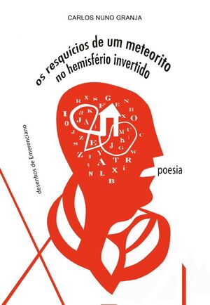 RESQUICIOS DE UM METEORITO NO HEMISFÉRIO INVERTIDO,OS