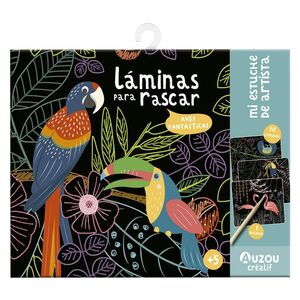 ESTUCHE ARTISTAS: PAJAROS. AUZOU