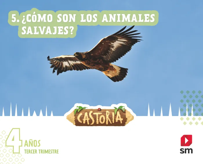 Áreas Integradas. 2 Infantil. Tercer Trimestre. Castoria