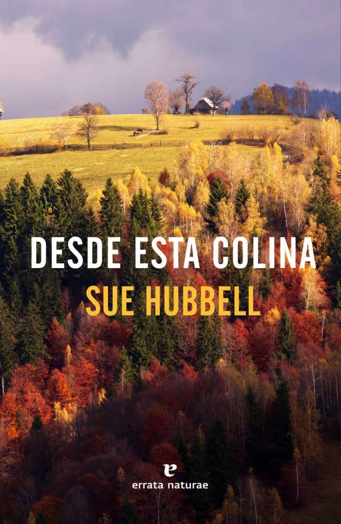 Desde esta Colina
