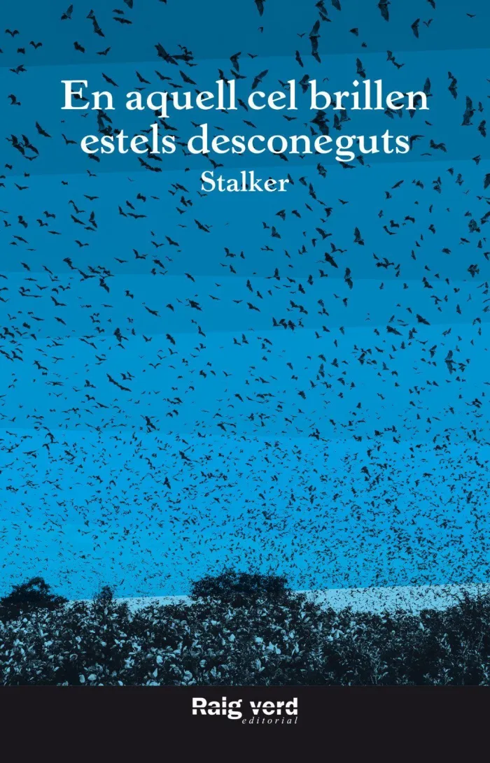 En Aquell Cel Brillen Estels Desconeguts