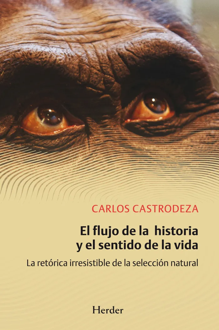 El Flujo de la Historia y Sentido de la Vida