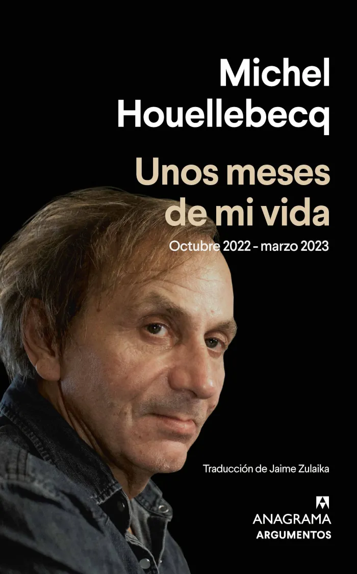 Unos Meses de mi Vida