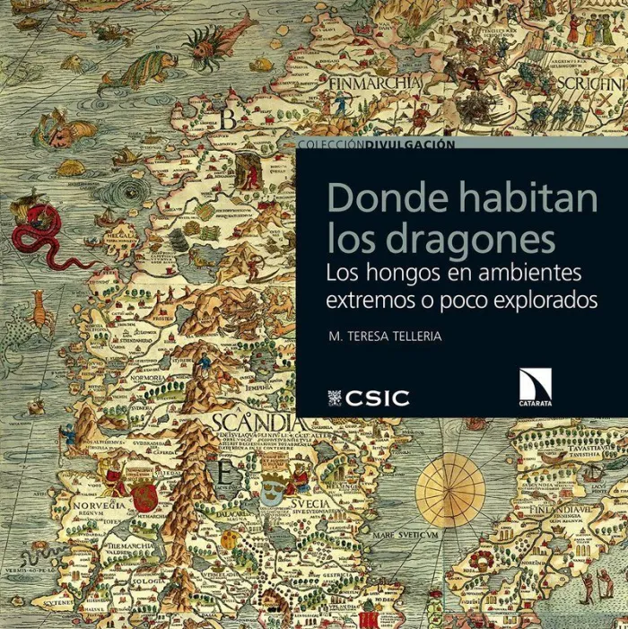 Donde Habitan los Dragones