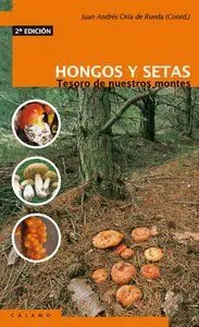 Hongos y Setas