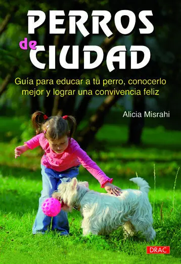Perros de Ciudad