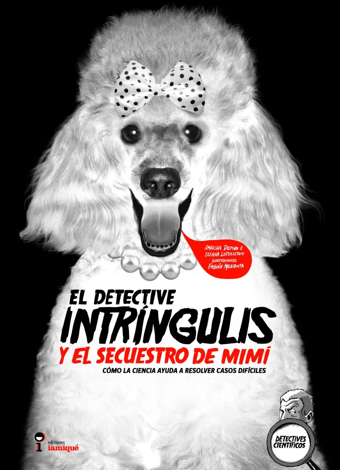 El Detective Intríngulis y el Secuestro de Mimí